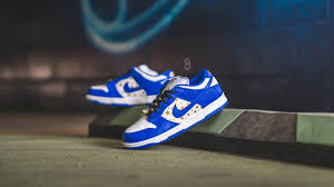 Nike Dunk Low Supreme Blue Stars